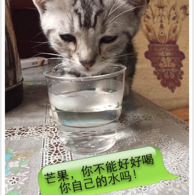 旧金山州立大学市场营销文凭证书